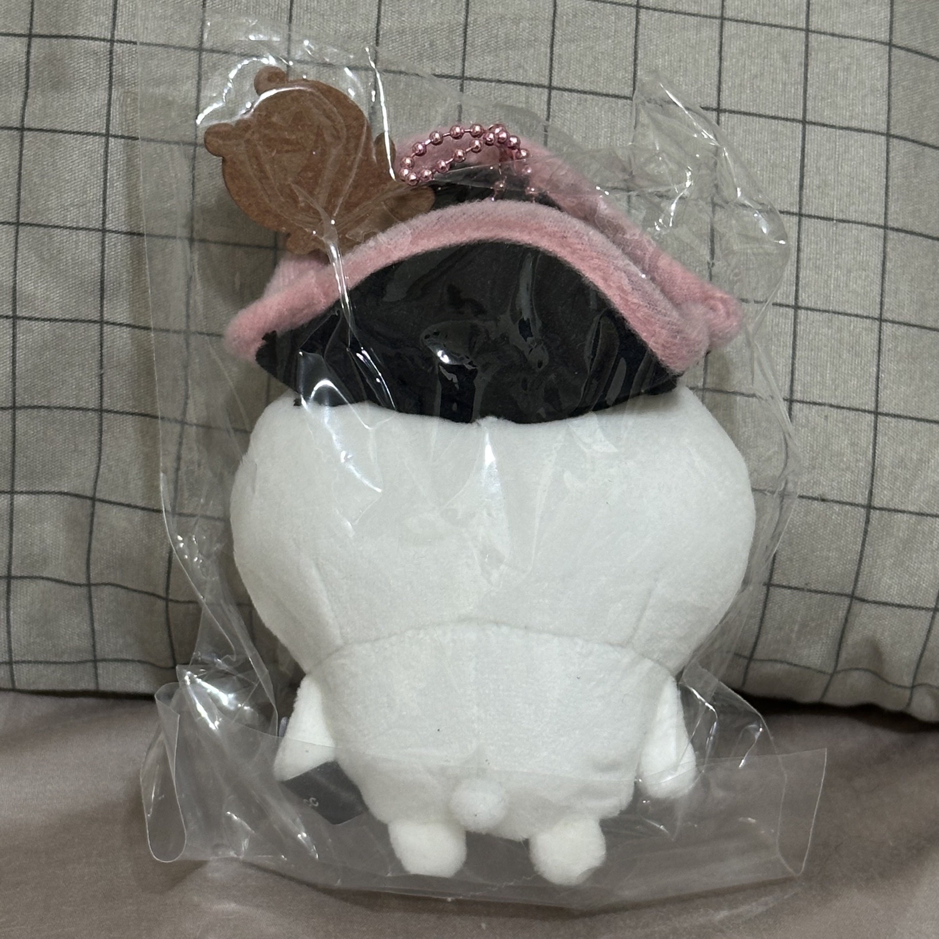 海盜吉伊🏴‍☠️