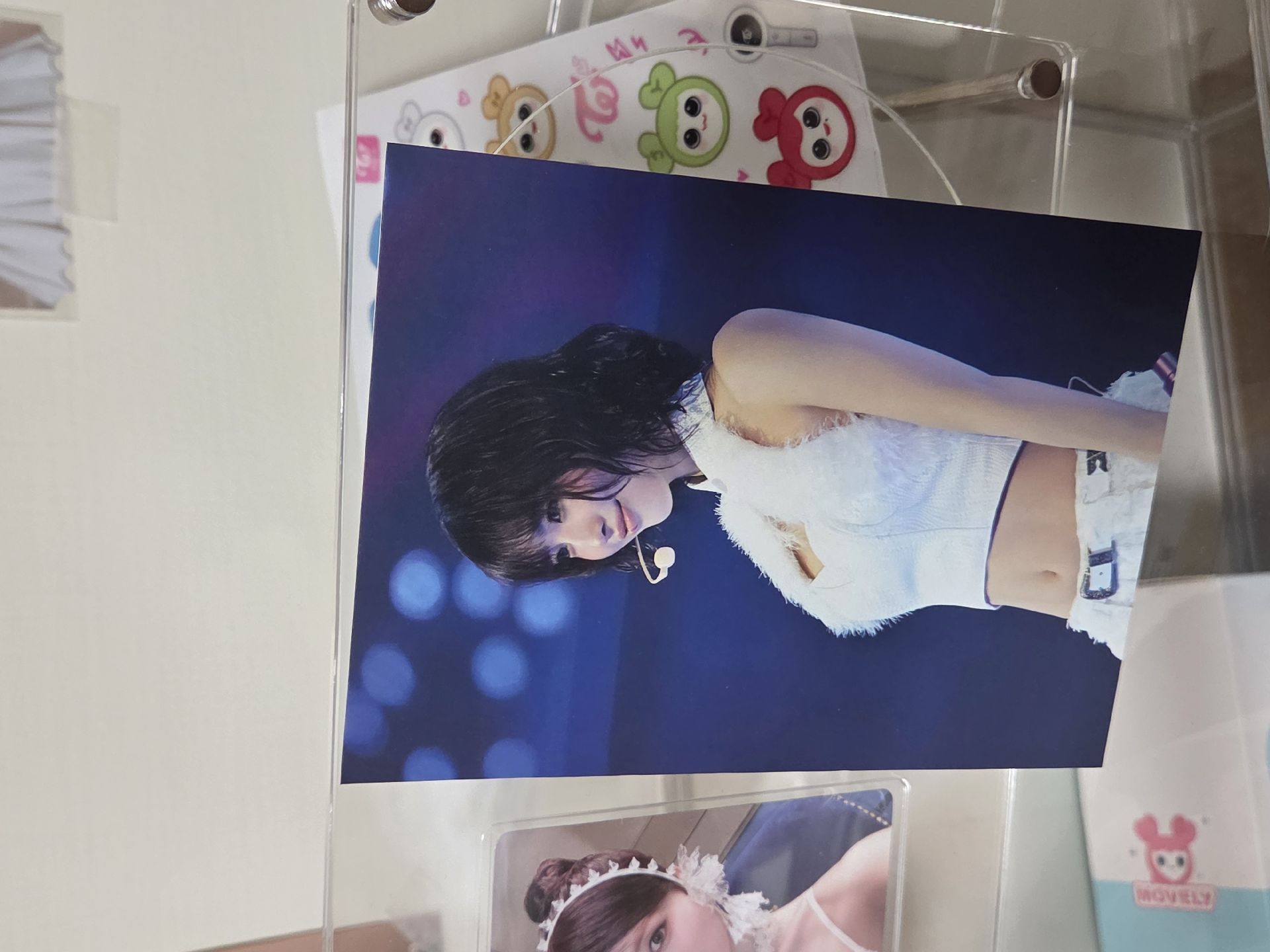 六巡VIP 桃明信片 🍑💤