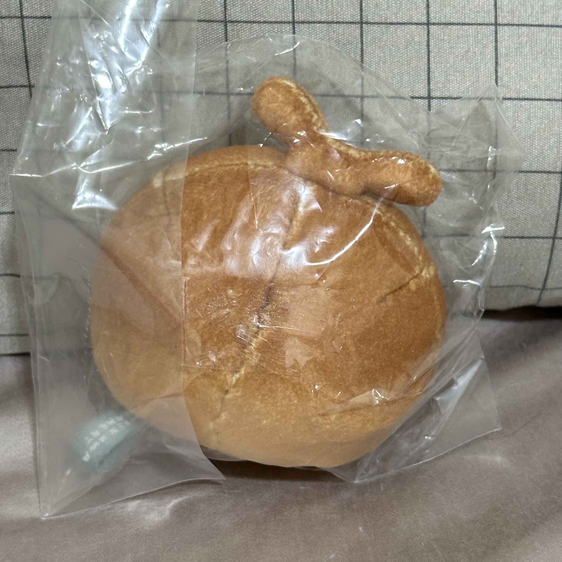 麵包小甲蟲🍞