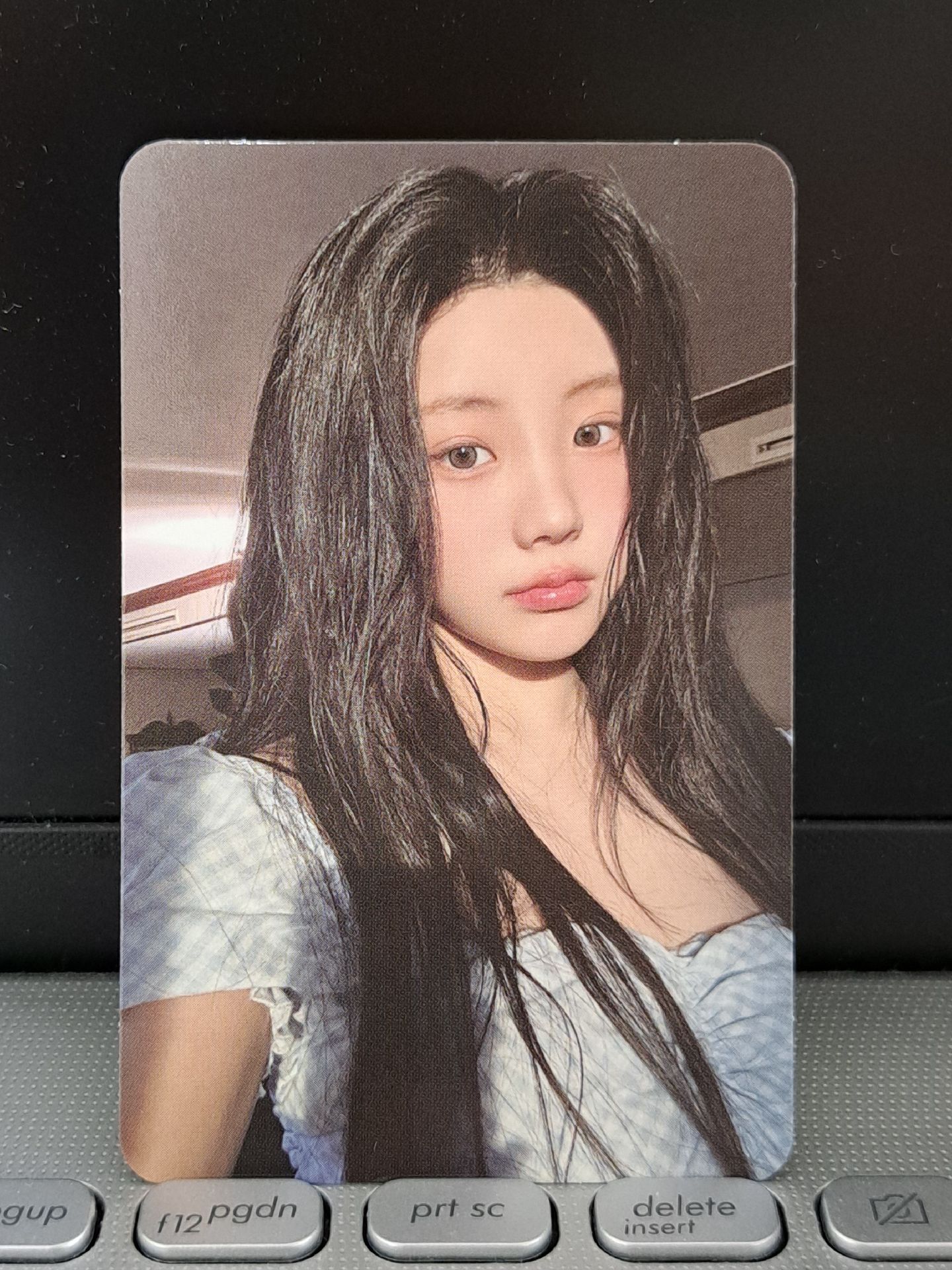 hl 2.0 簽售卡 Wonhee