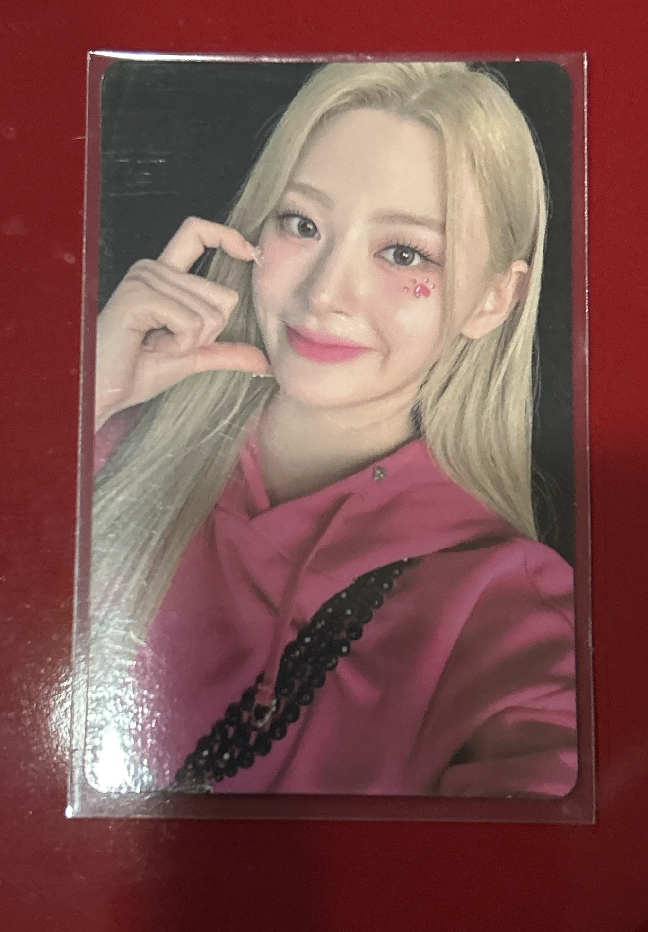 Teddy Bear 專卡森