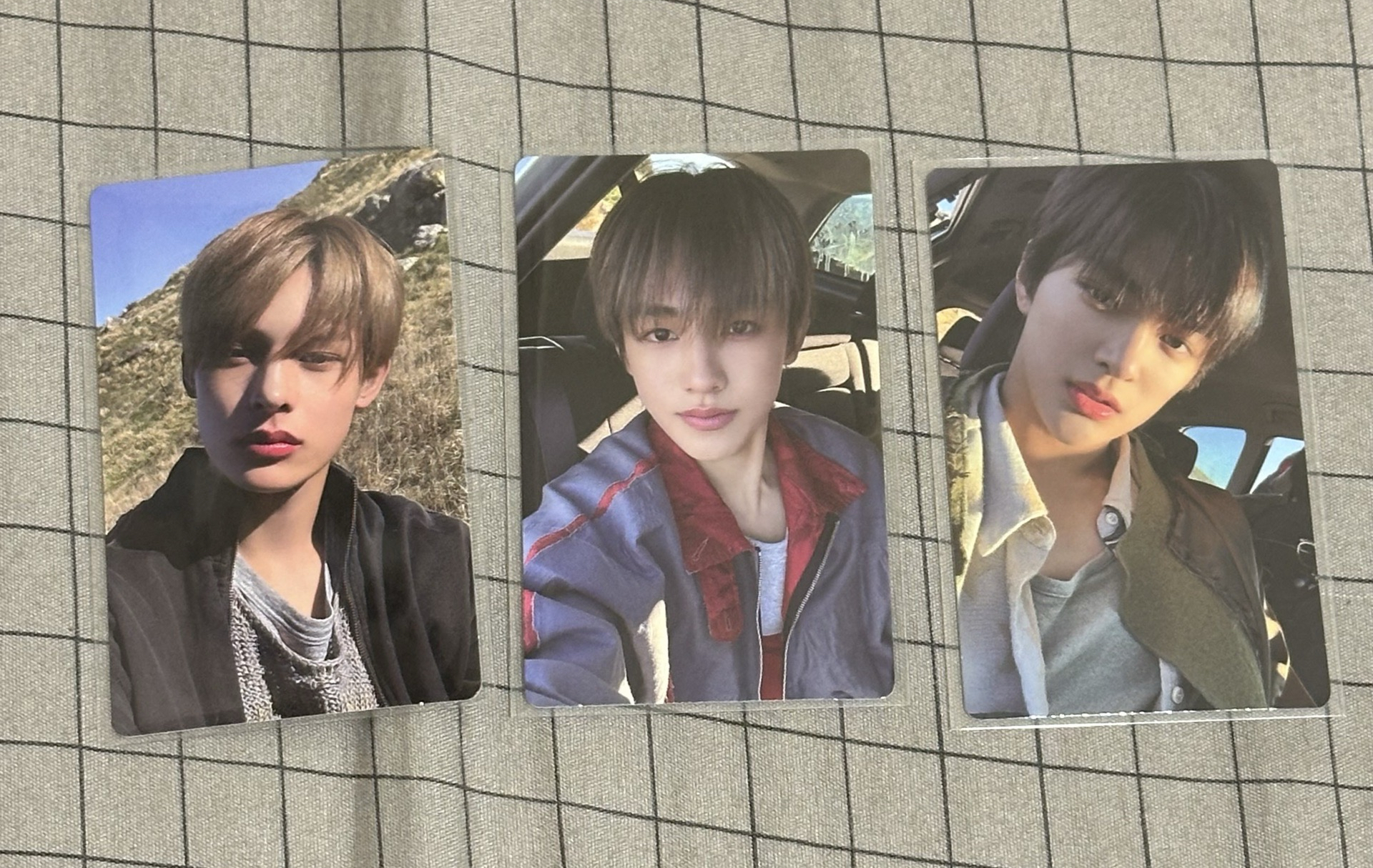 YT直播卡 凡玹安🦅🦊🐶