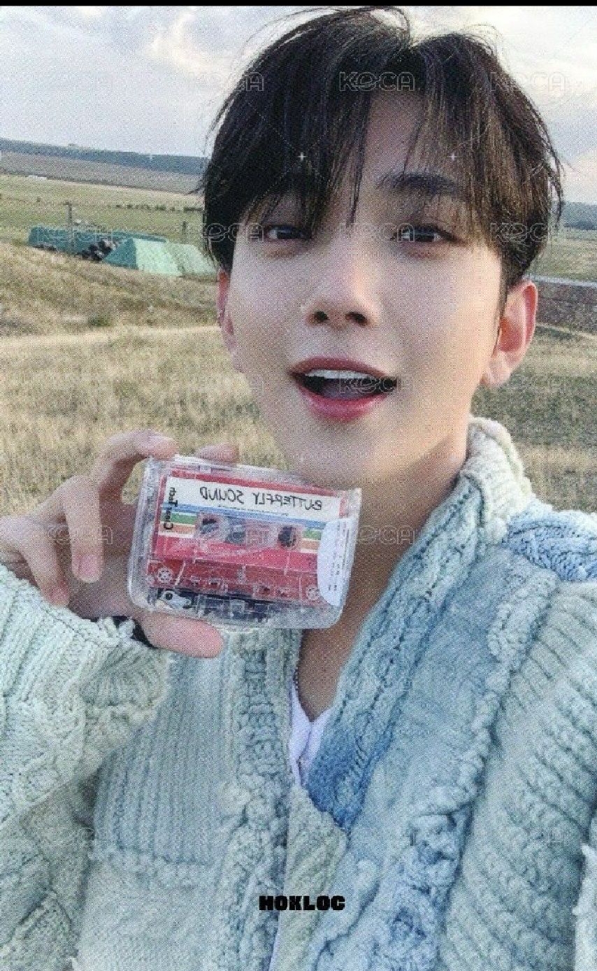 共60張卡 MINI11 日咖愛知  磁帶秀小盤 