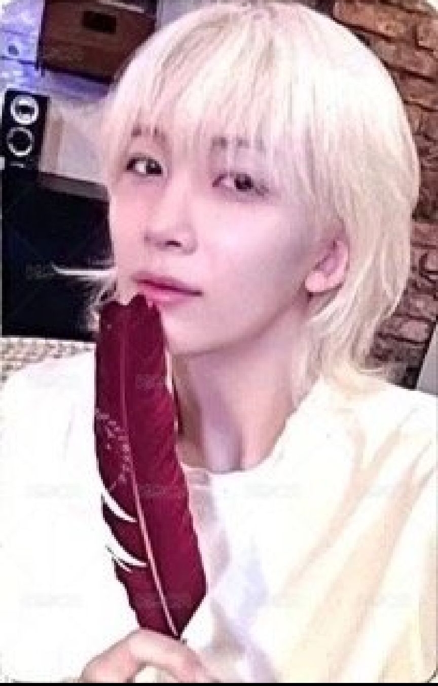 羽毛漢小盤 共9張卡MINI12 yzy E 簽售卡 