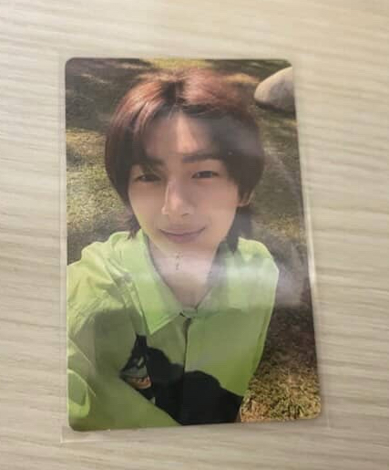 黑猩猩綠色衣服