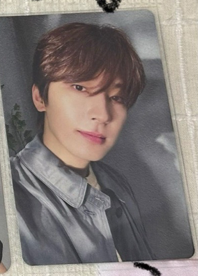 日單 通常盤 專卡