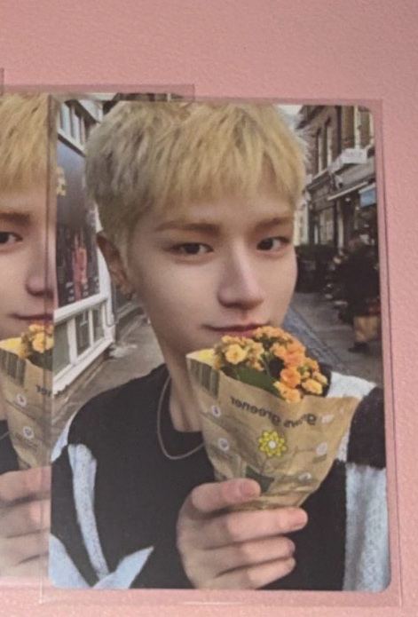 #有袋子的花/沒花/白色的花