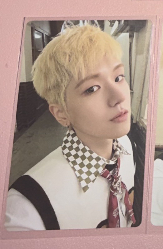 #有袋子的花/沒花/白色的花