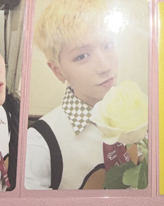 #有袋子的花/沒花/白色的花