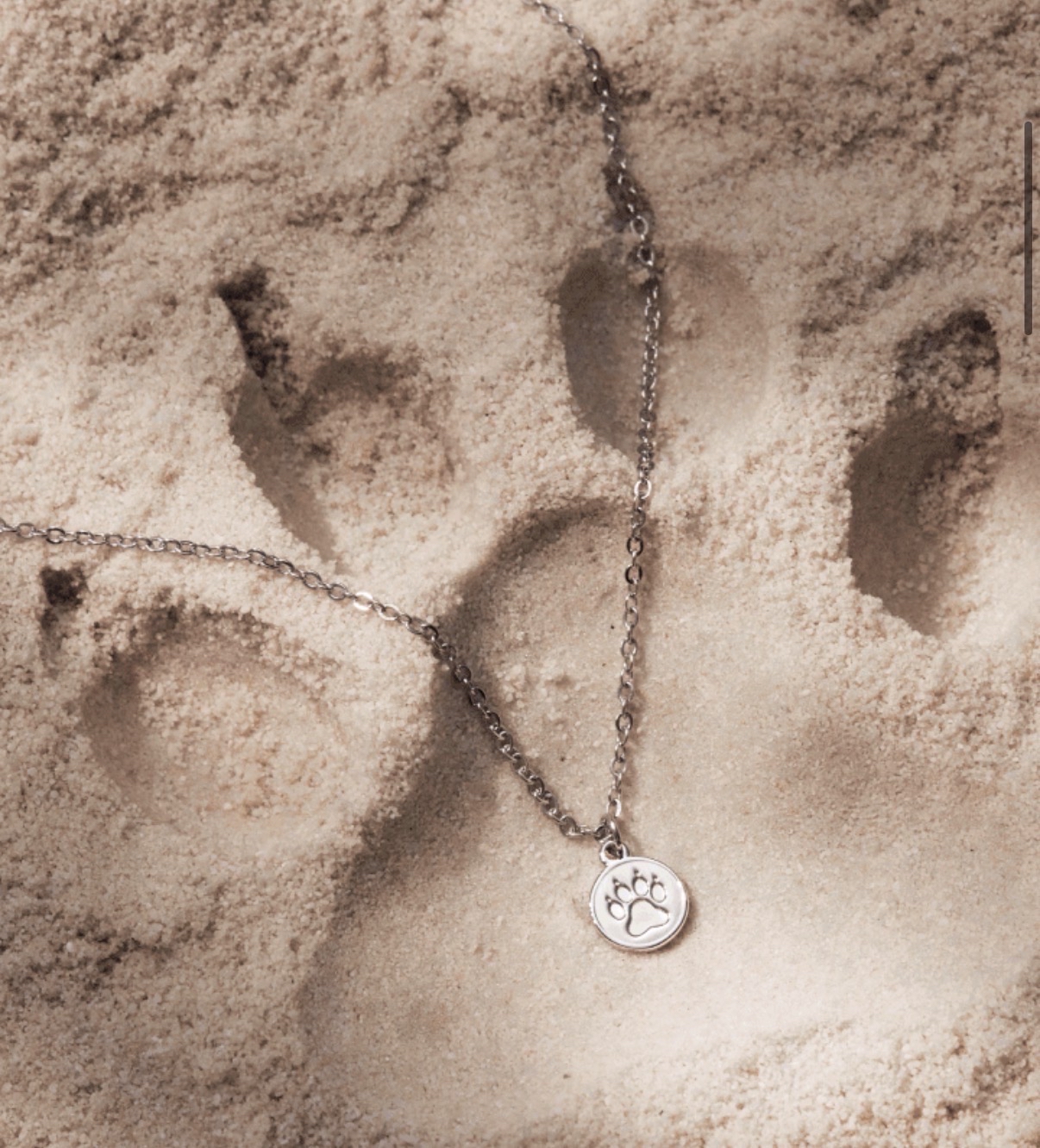 9週年項鍊-Hoshi 全新未拆