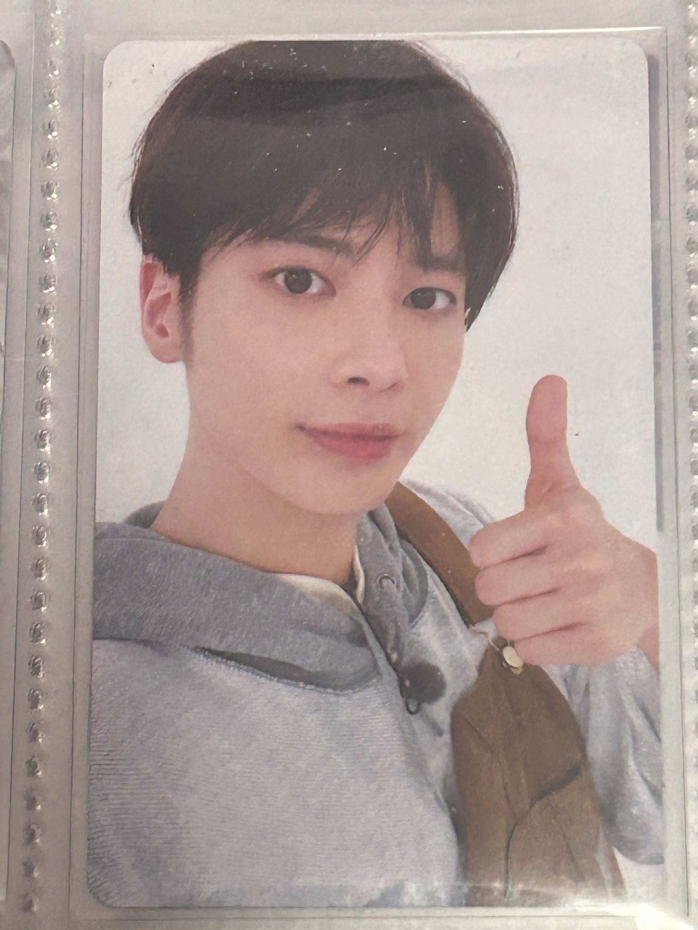 限量日本問卷顯