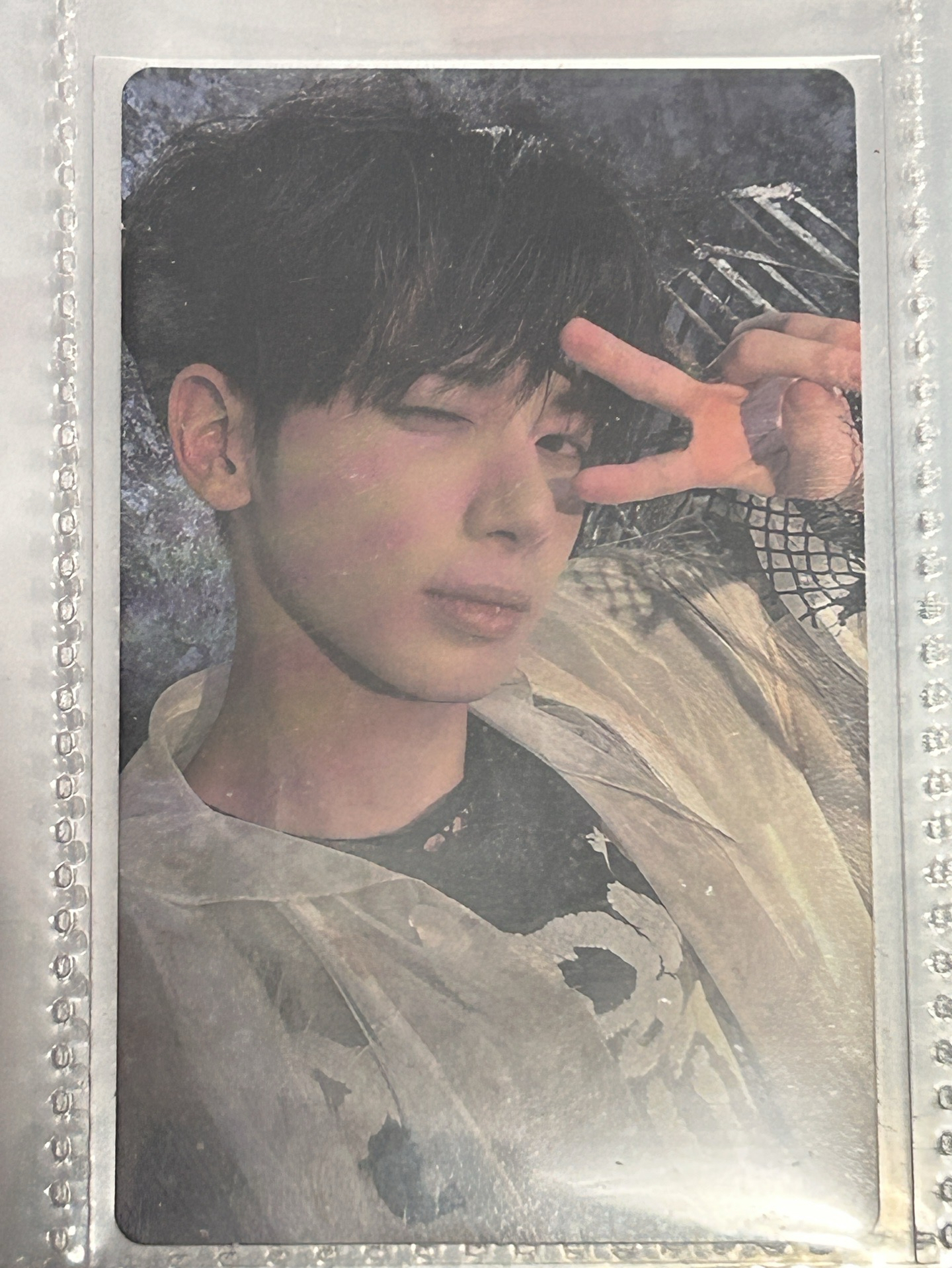 正規三wvs特典顯