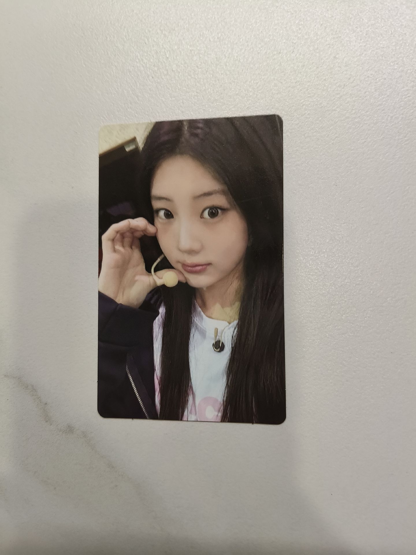 🔴NOT CUTE ANYMORE dingo 特典卡 