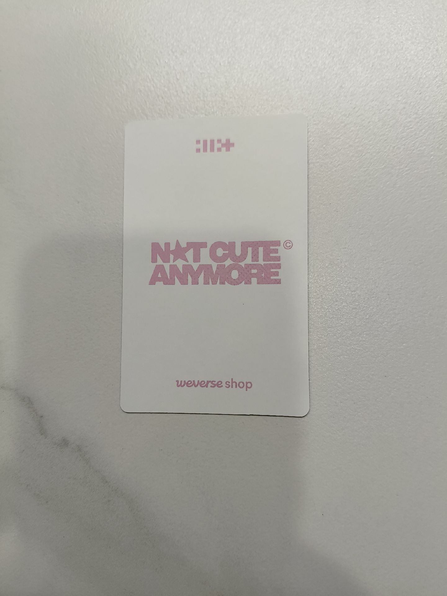 🔴NOT CUTE ANYMORE dingo 特典卡 