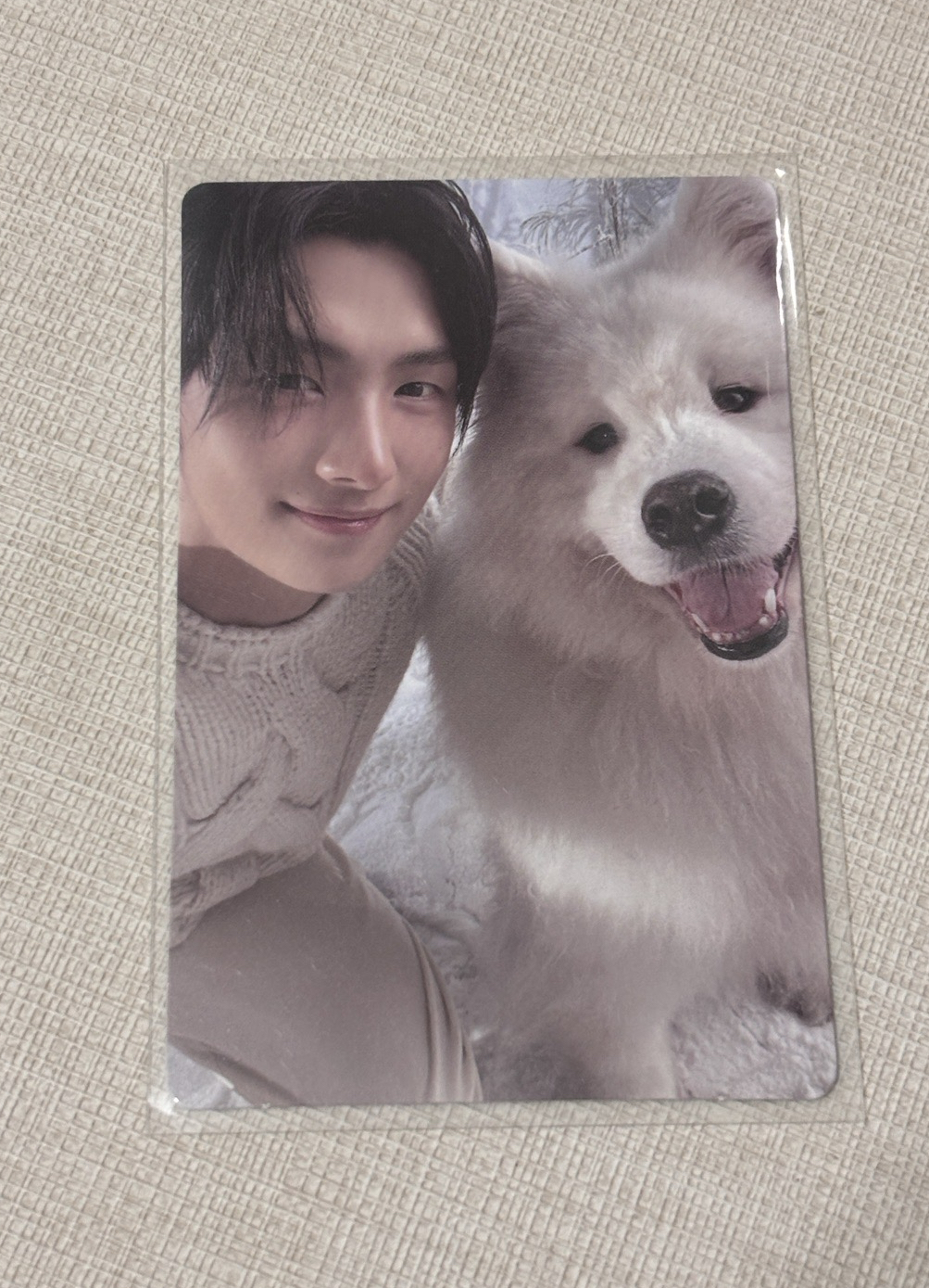 last bell 單封專輯卡 