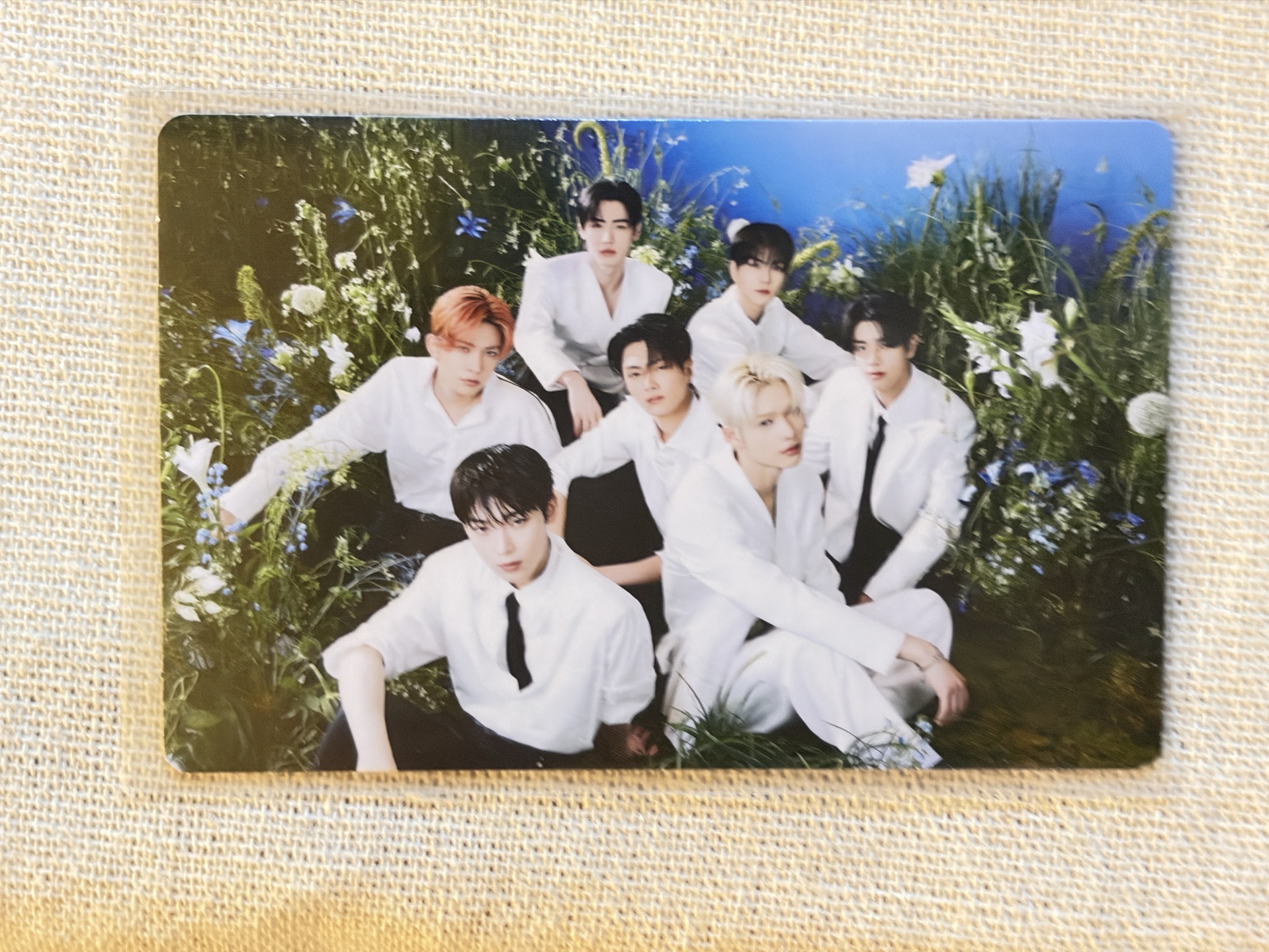 絕版7人合照🔀