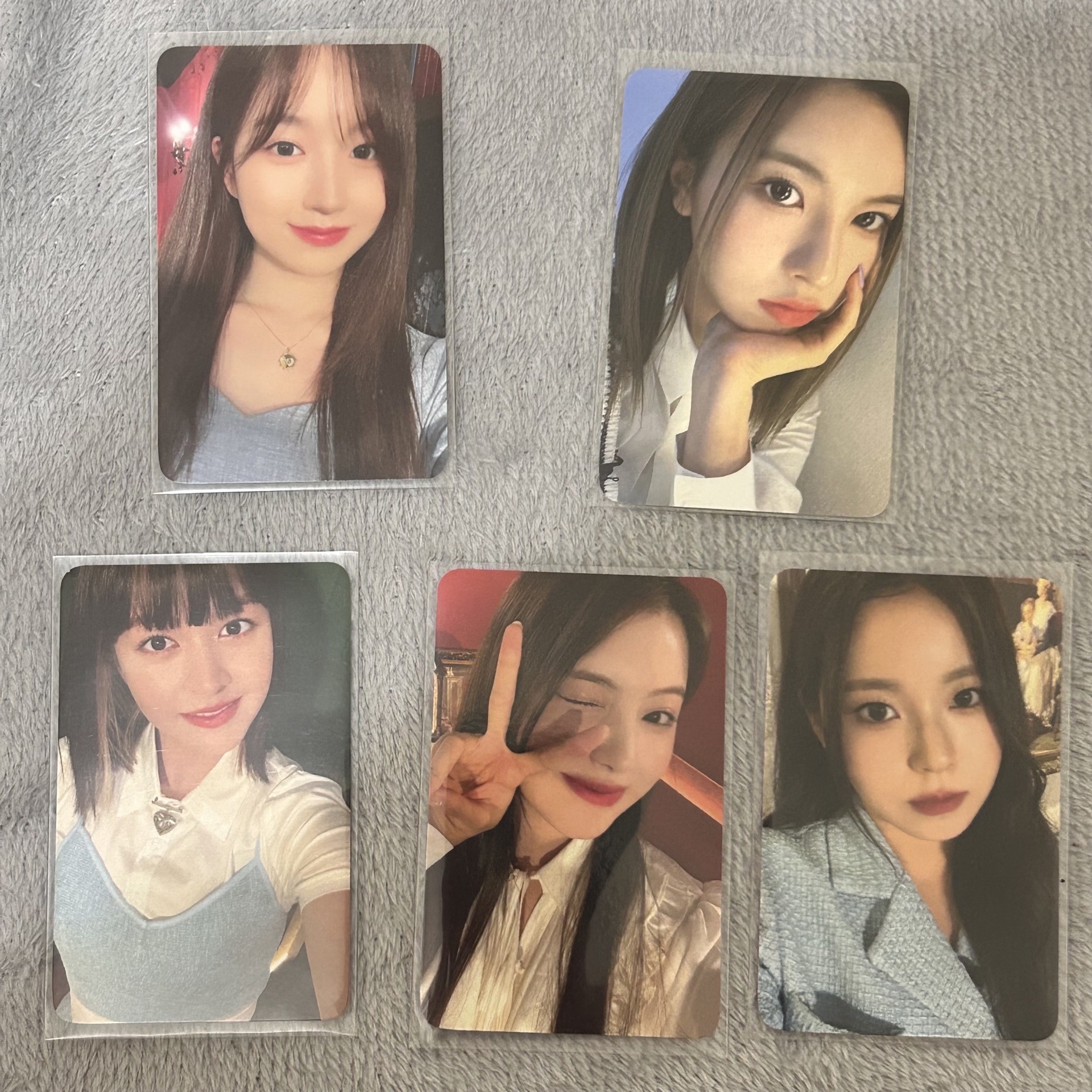 卡冊卡5張 無薛