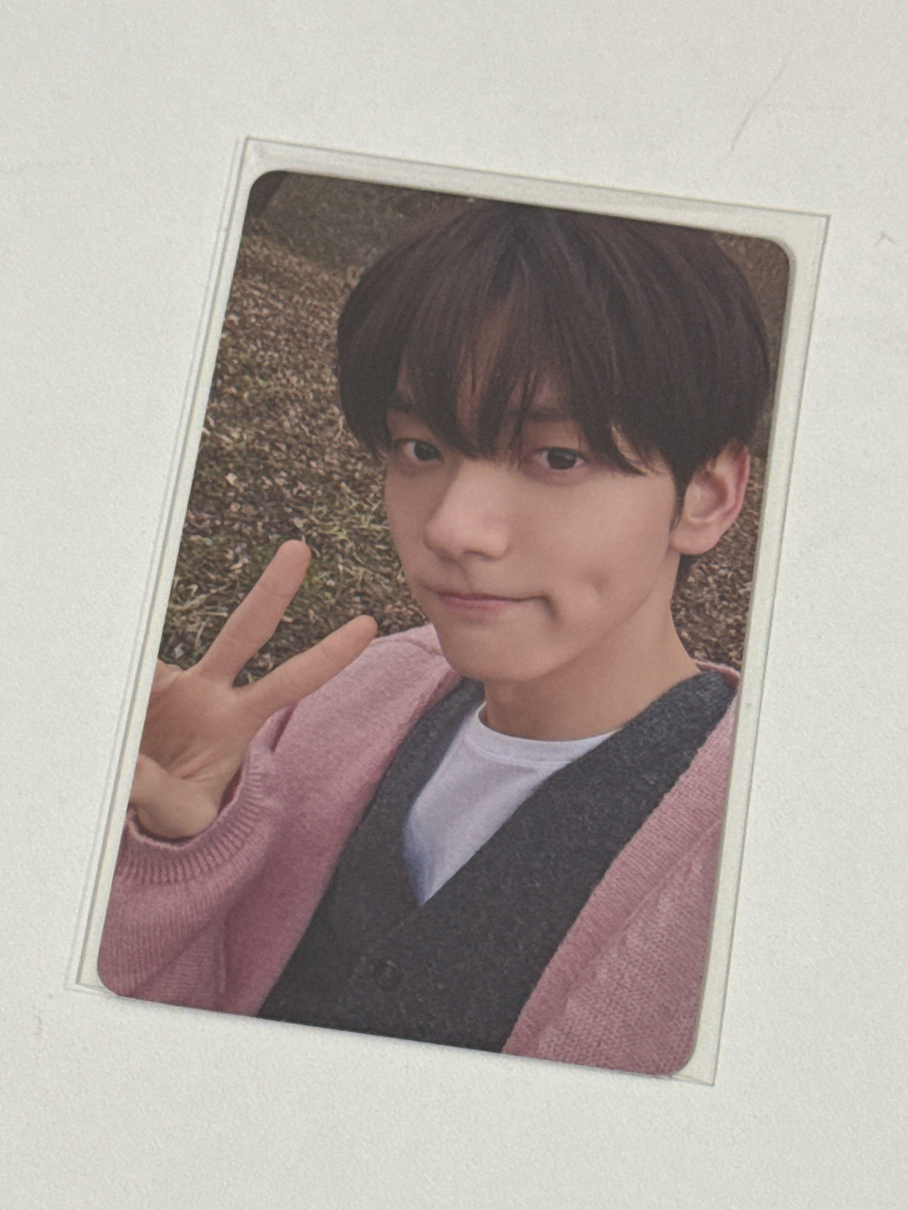 秀彬🐰迷六 環球 單封 特典