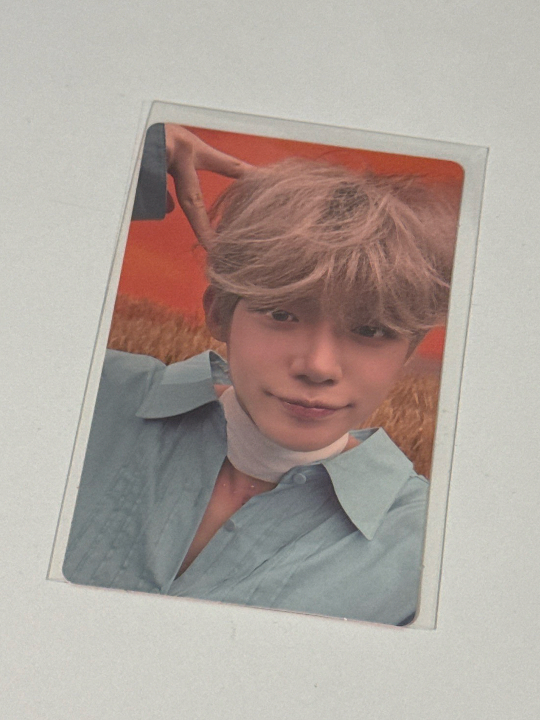 然竣🦊迷六 wvs 單封特典