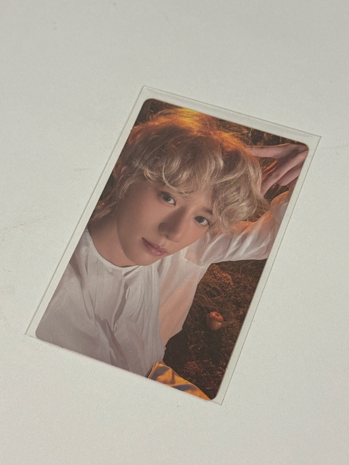 杋圭🐻迷六 wvs單封 特典