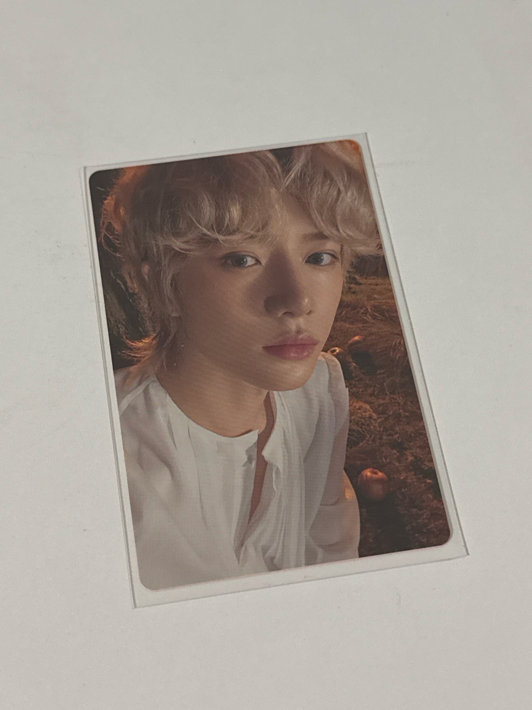 杋圭🐻迷六 單封 專卡