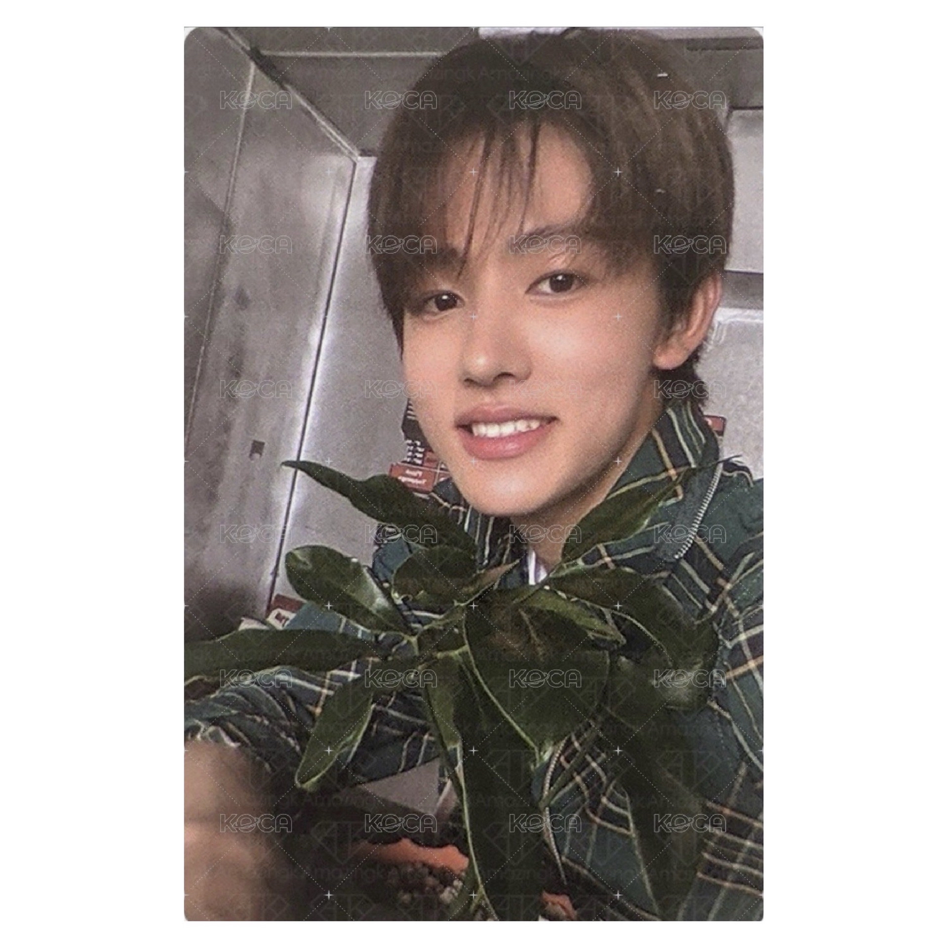 CORTIS 現貨 嚴成玹 鹽鹽 年曆 小卡