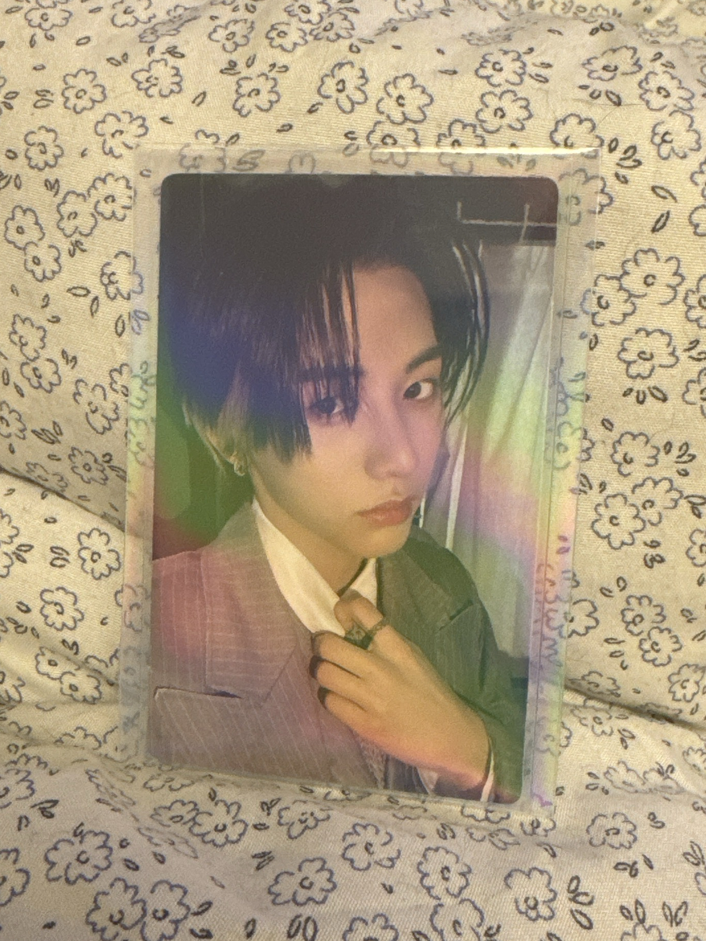 泰山 HOW? 專輯卡 wvs ver. 