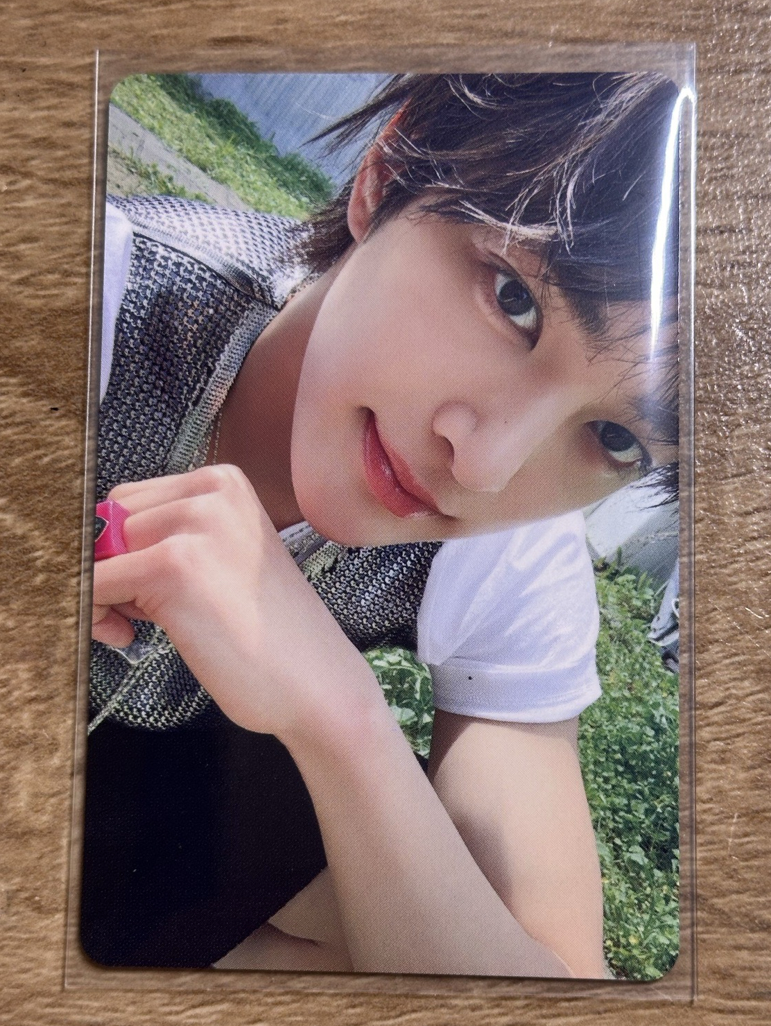 高挺鼻梁小狗鎬🐶