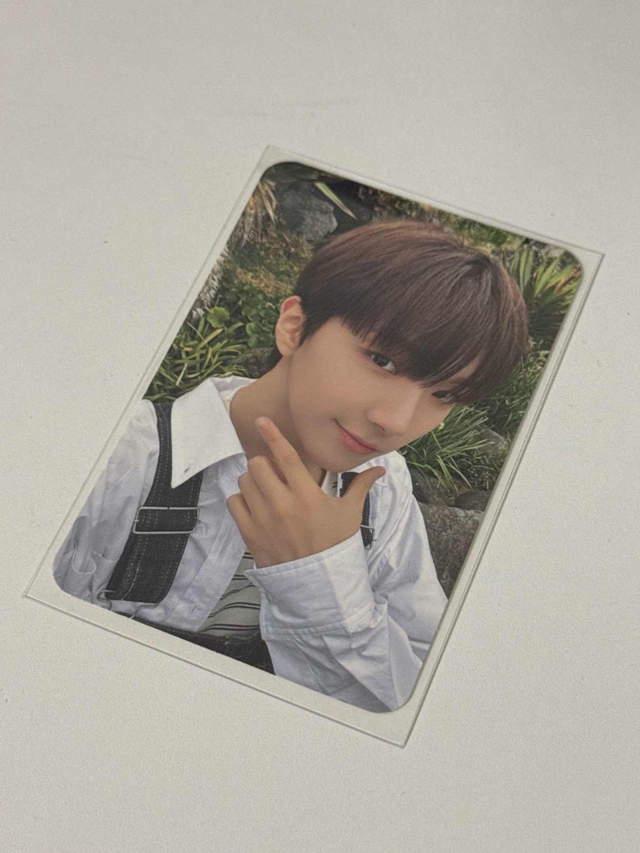 雲鶴🧸AND 專卡