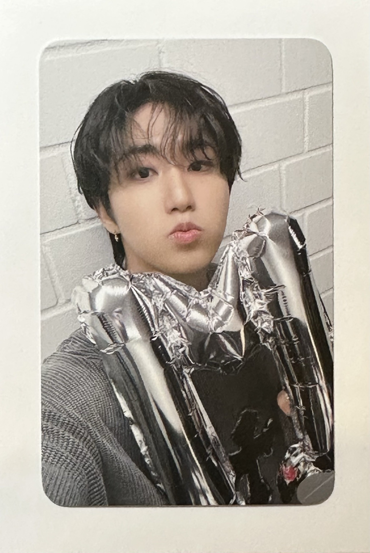 Karma Fans城🐿️