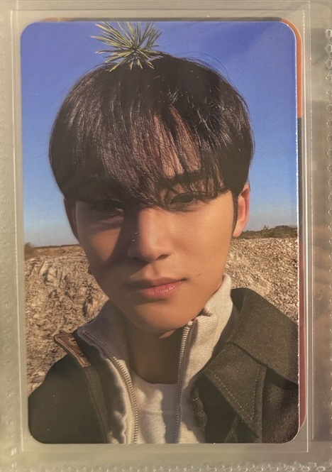 奎 正規四 頂草奎