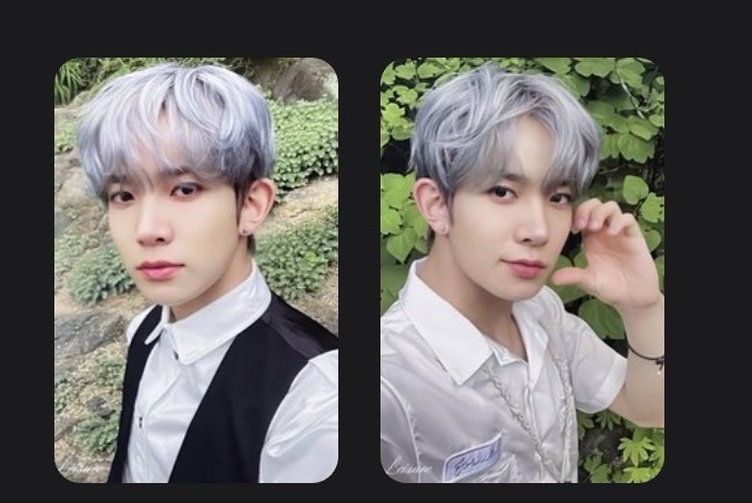 羲 四期會員禮小卡set