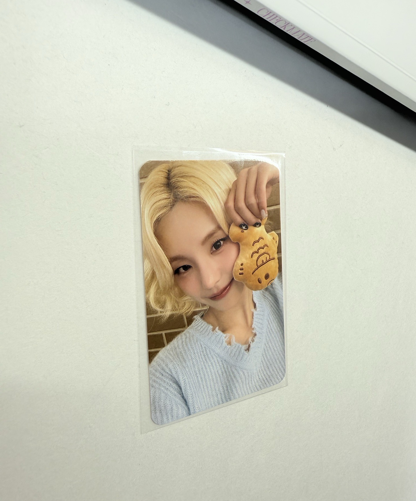 TNVS sw 日本 線下 鯛魚燒 志