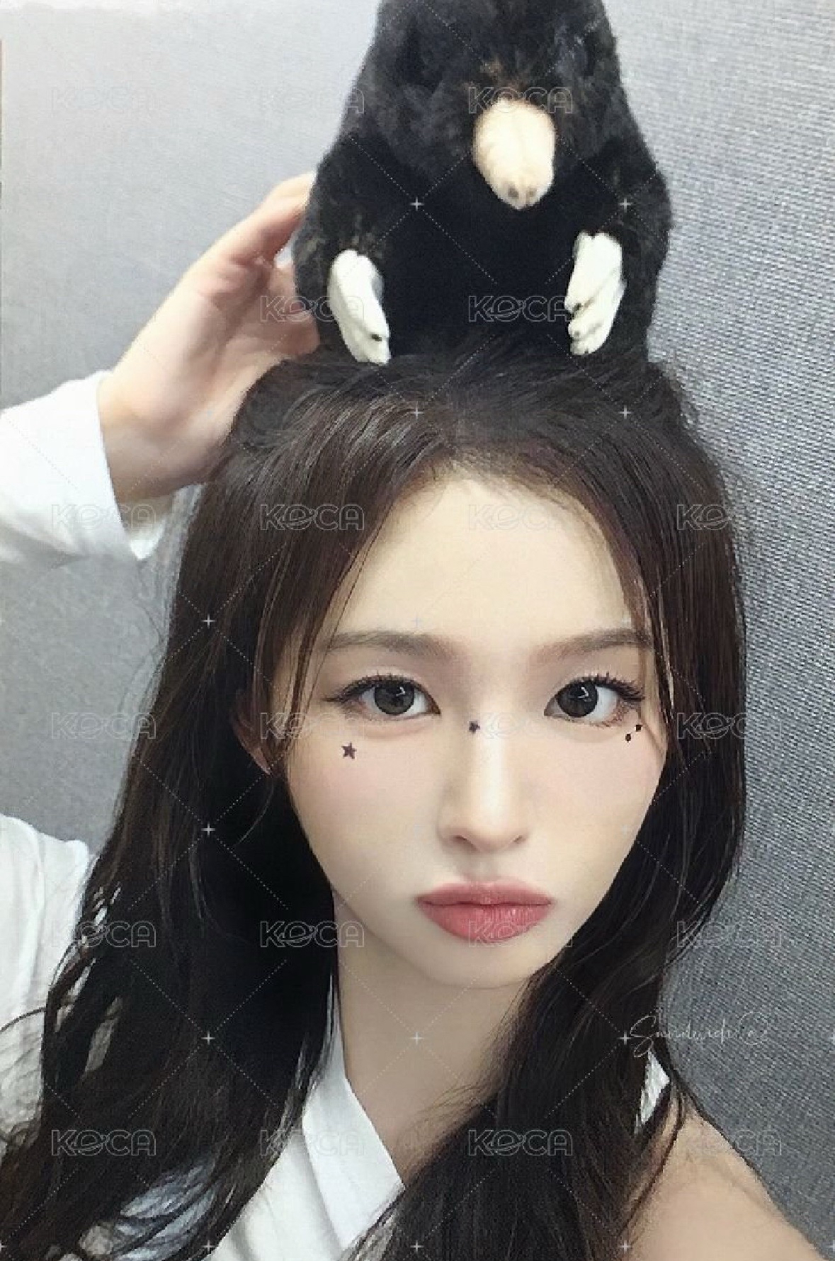 STICK OUT ms 簽售卡 6.0 鼹鼠薛