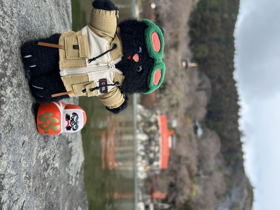 崔小啵的眼睫毛