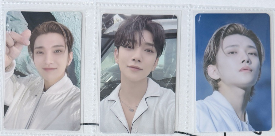 正四後續wvs已掃