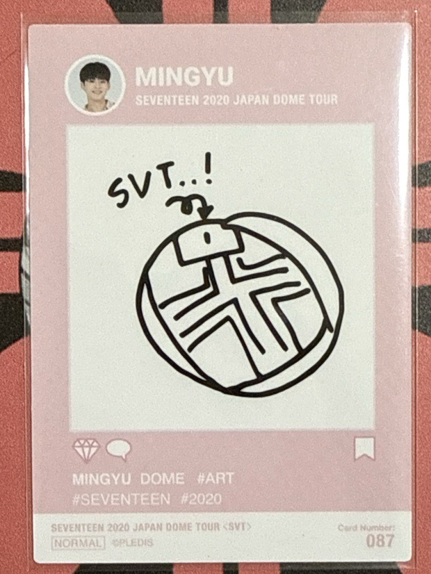 奎 2020 蛋巡隨機卡🎈