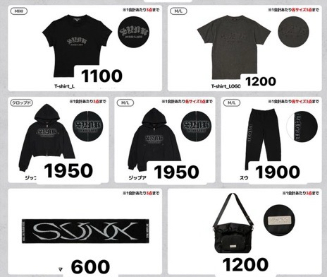 ［預購］ 親自帶回 先私訊 AESPA日場周邊