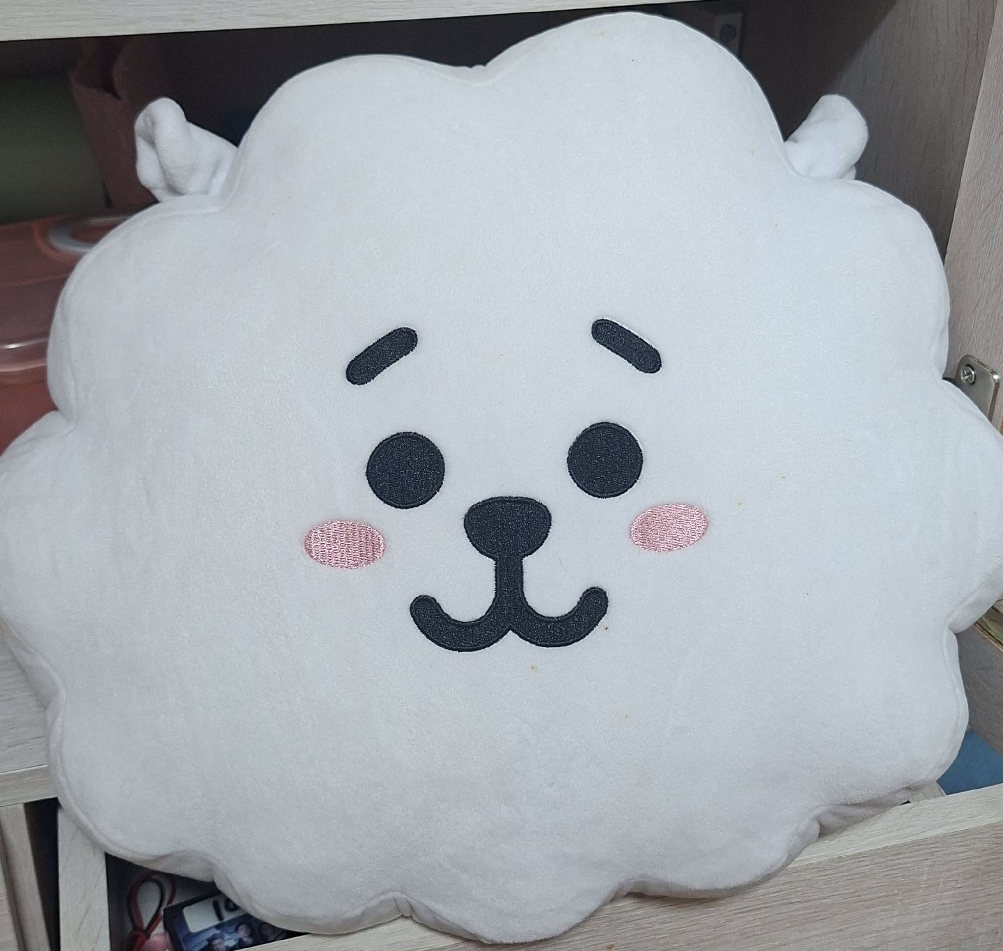 BT21 RJ 大抱枕