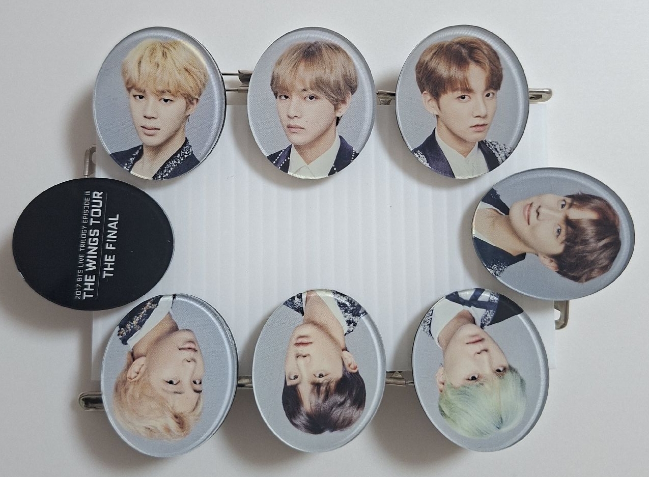 THE WINGS TOUR THE FINAL 徽章