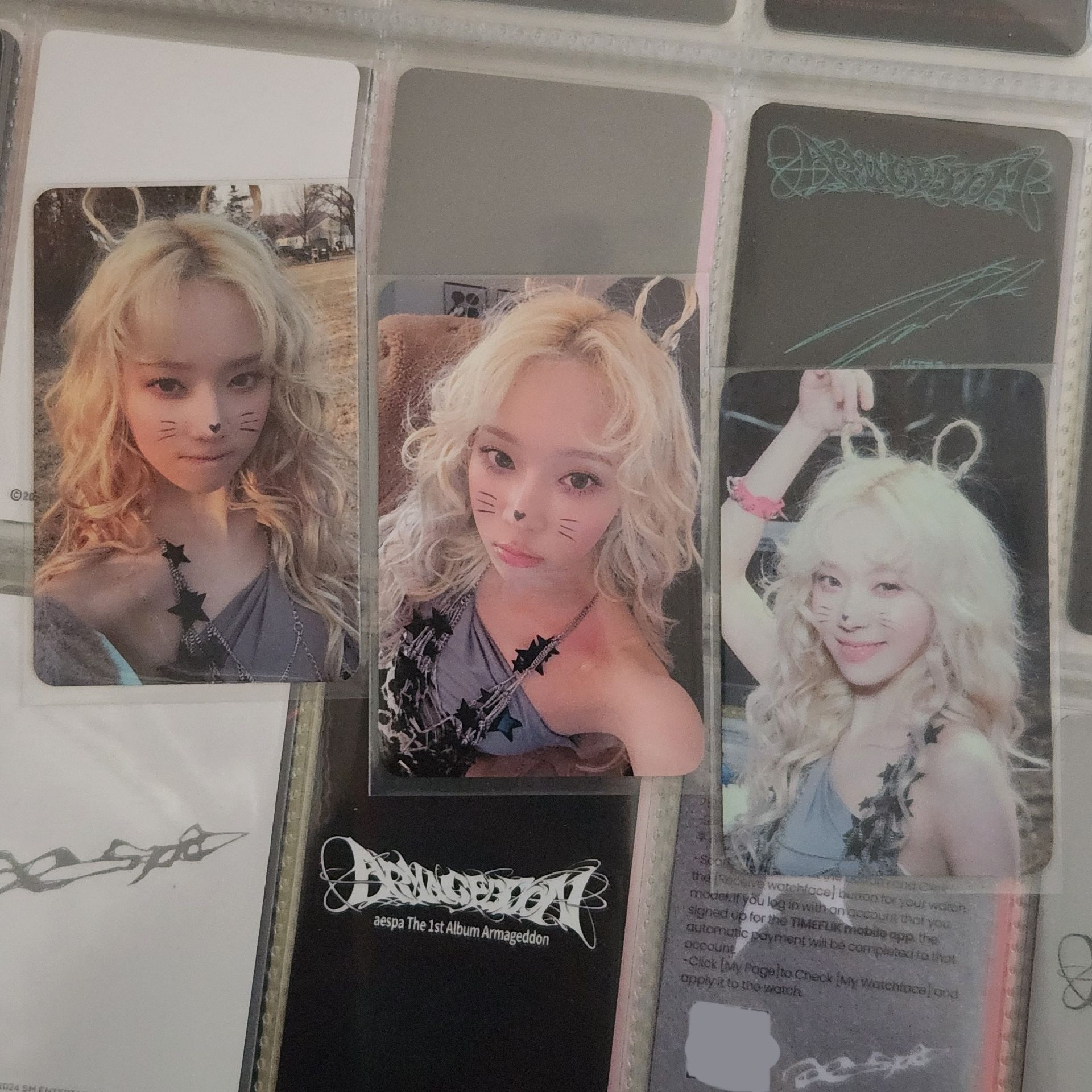 WINTER 正規一貓咪冬三張不拆