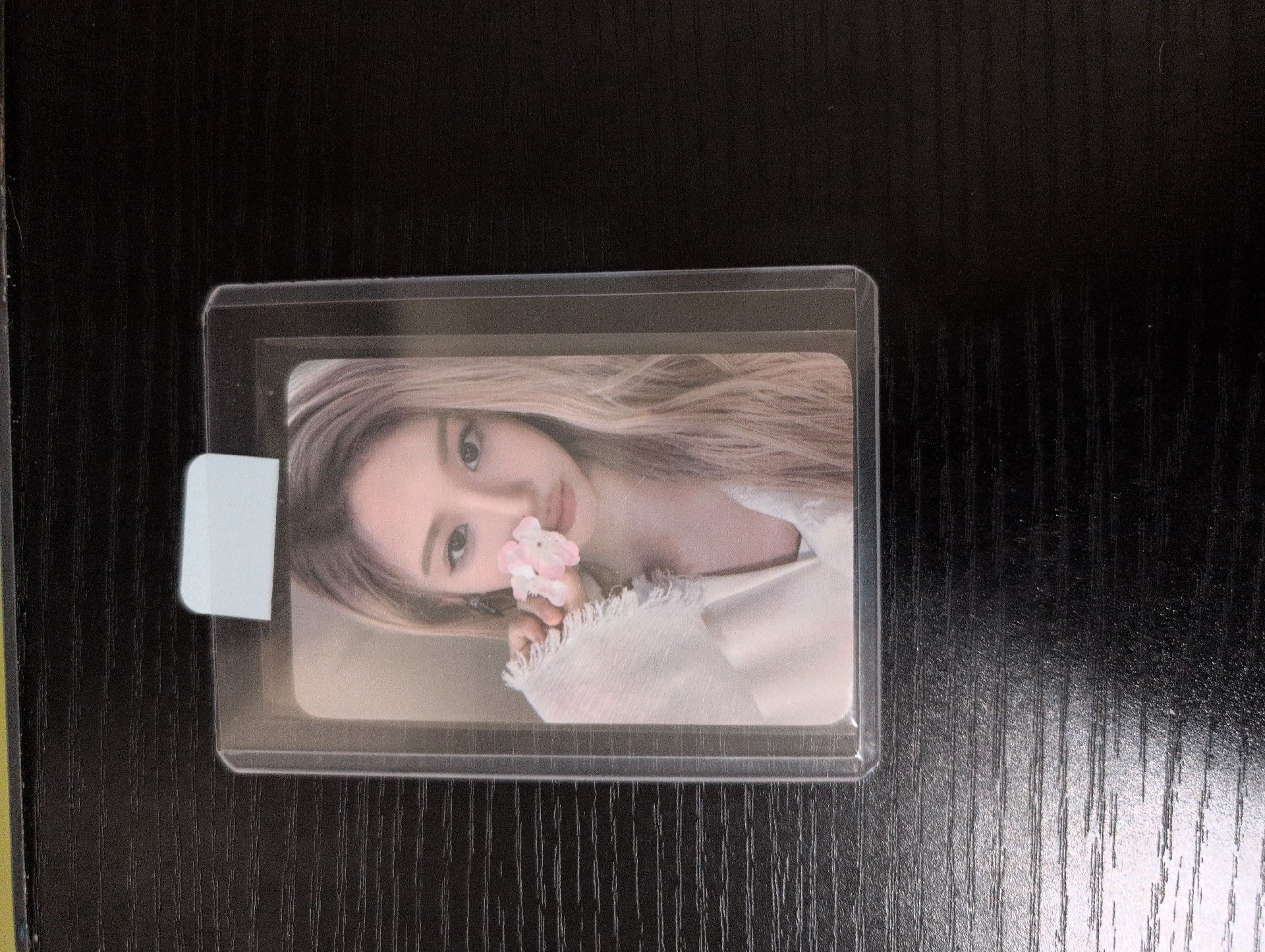 五萬滿額 櫻花薛