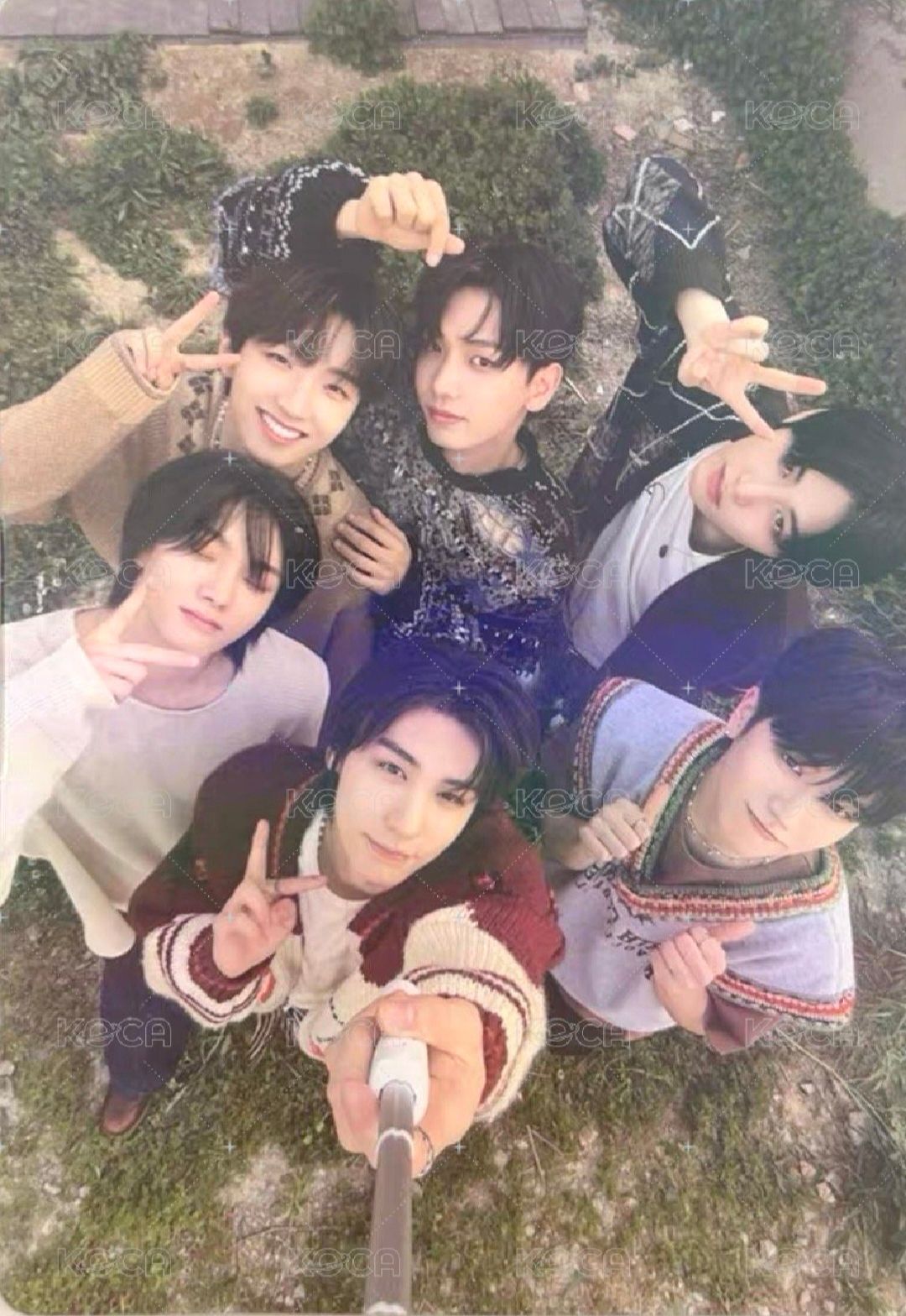 why wvs 單封特典