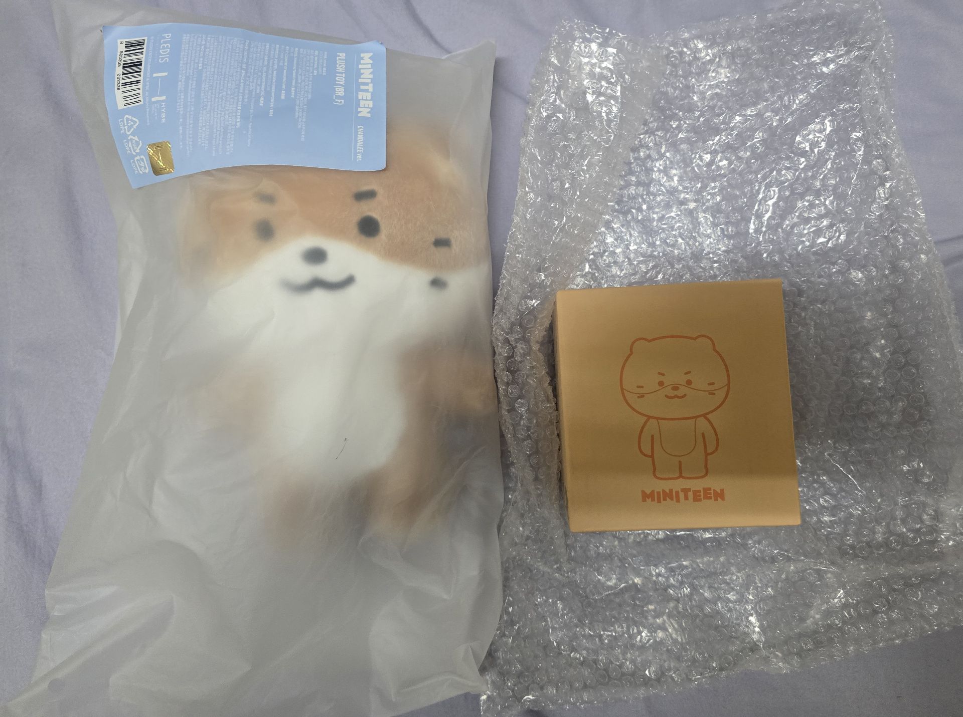 Seventeen Miniteen 李燦Dino 站娃+夜燈拍拍燈