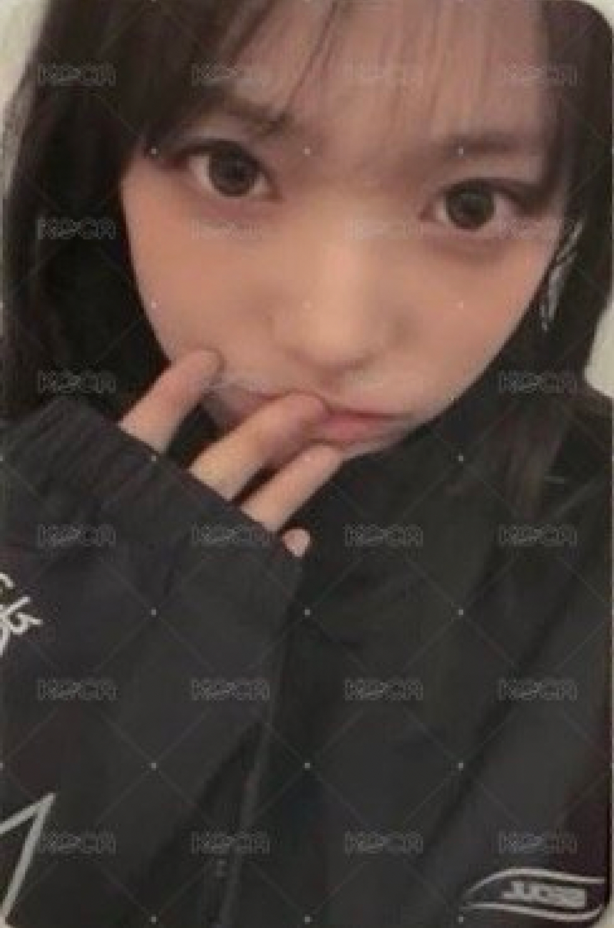 QWER 安可場 防風外套卡 一套