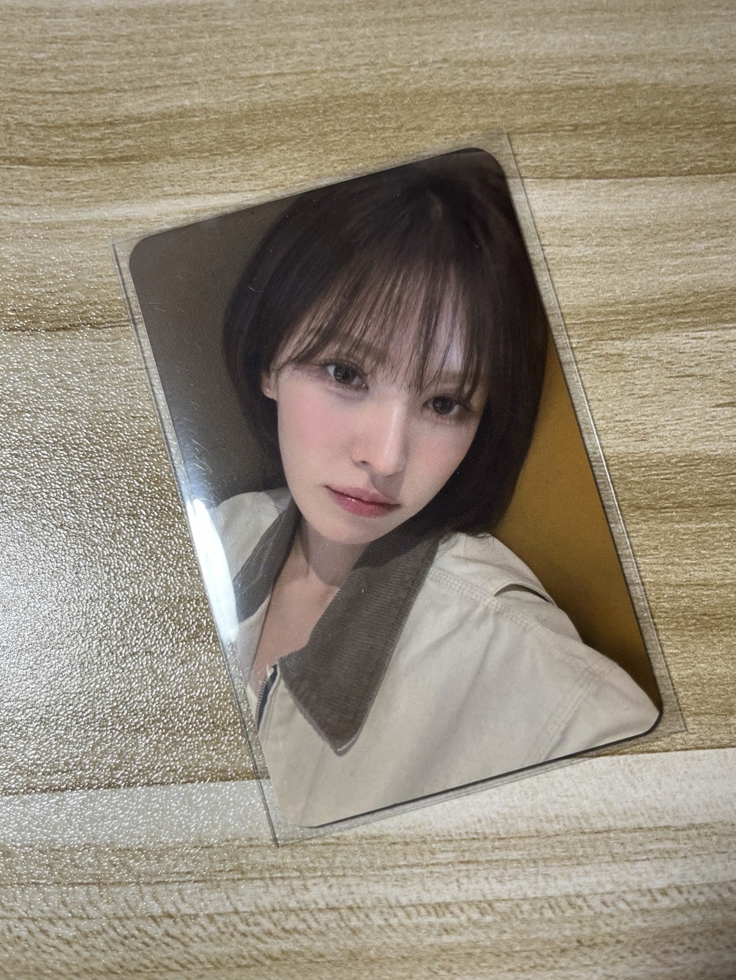 WENDY 2026高雄櫻花季 入場卡