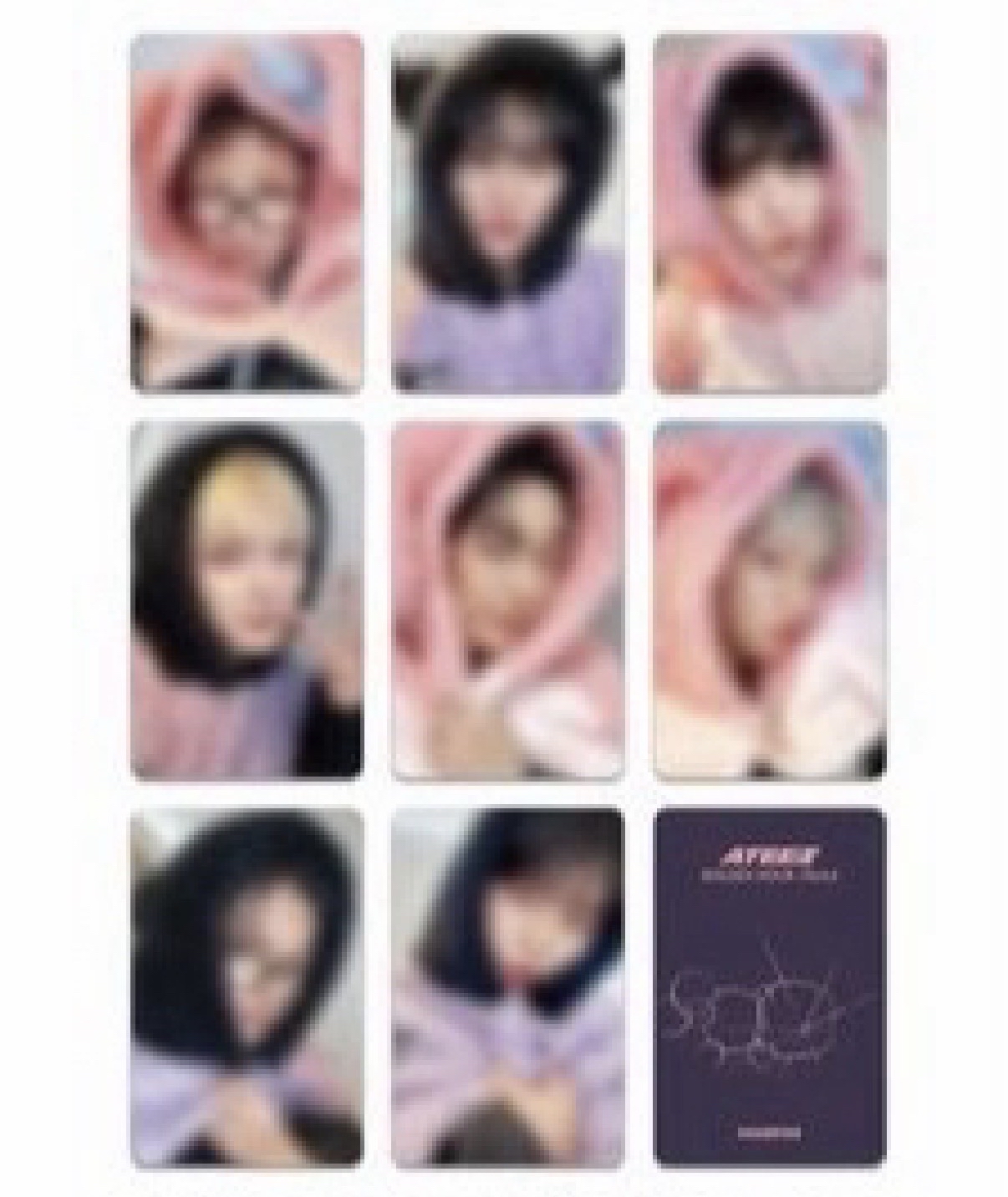 非現貨 MS6.0單特典一套不含專