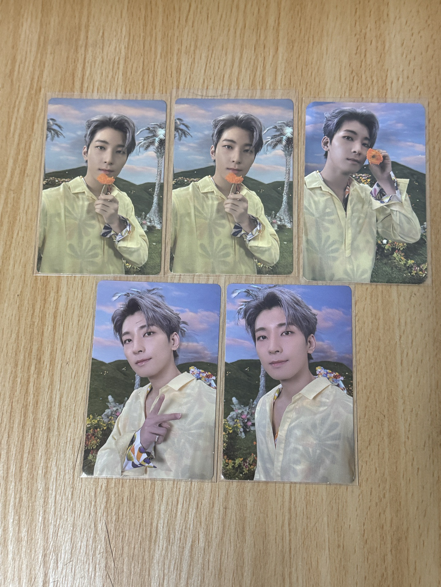 正四後續 專輯卡 圓佑