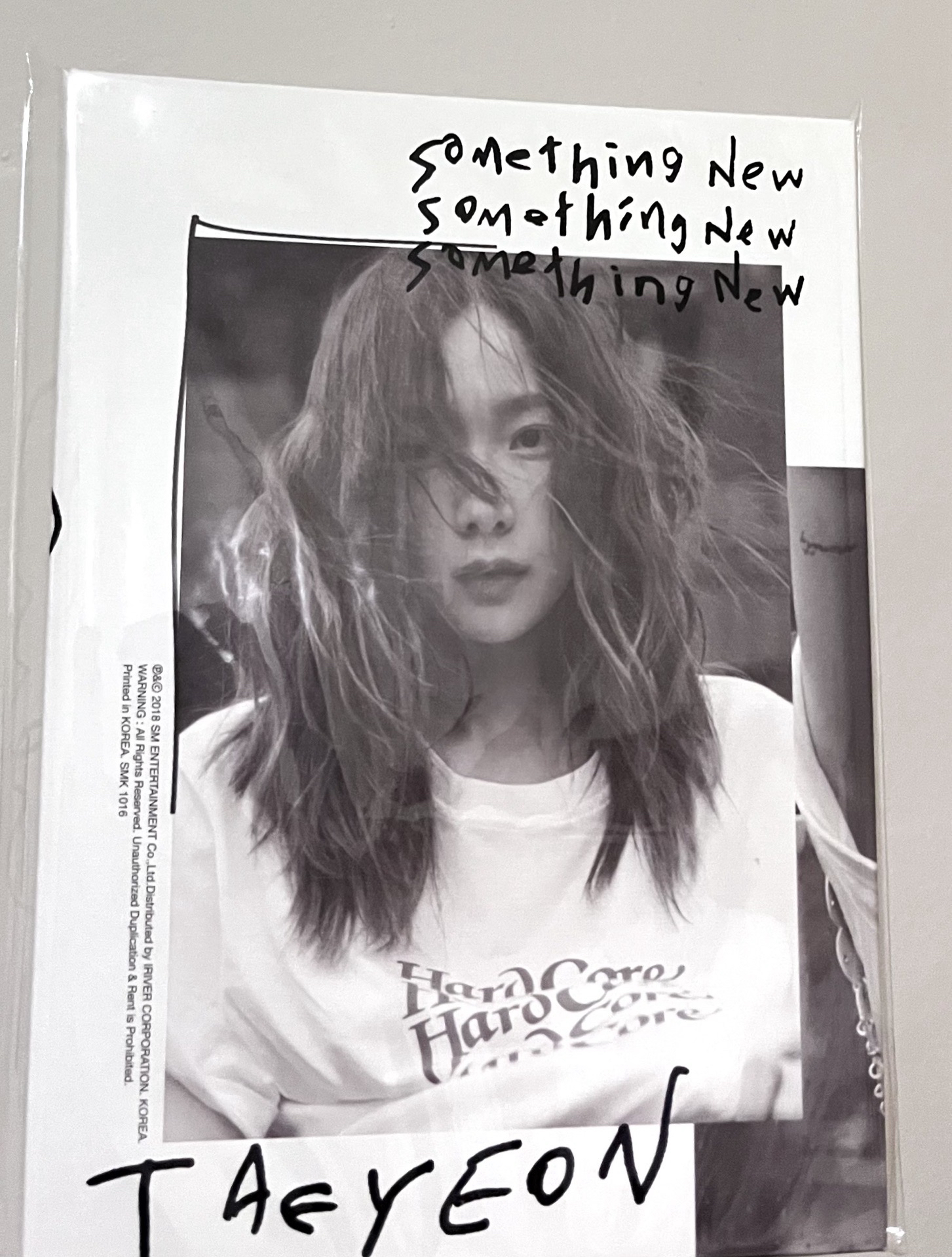 太妍 Something New空專