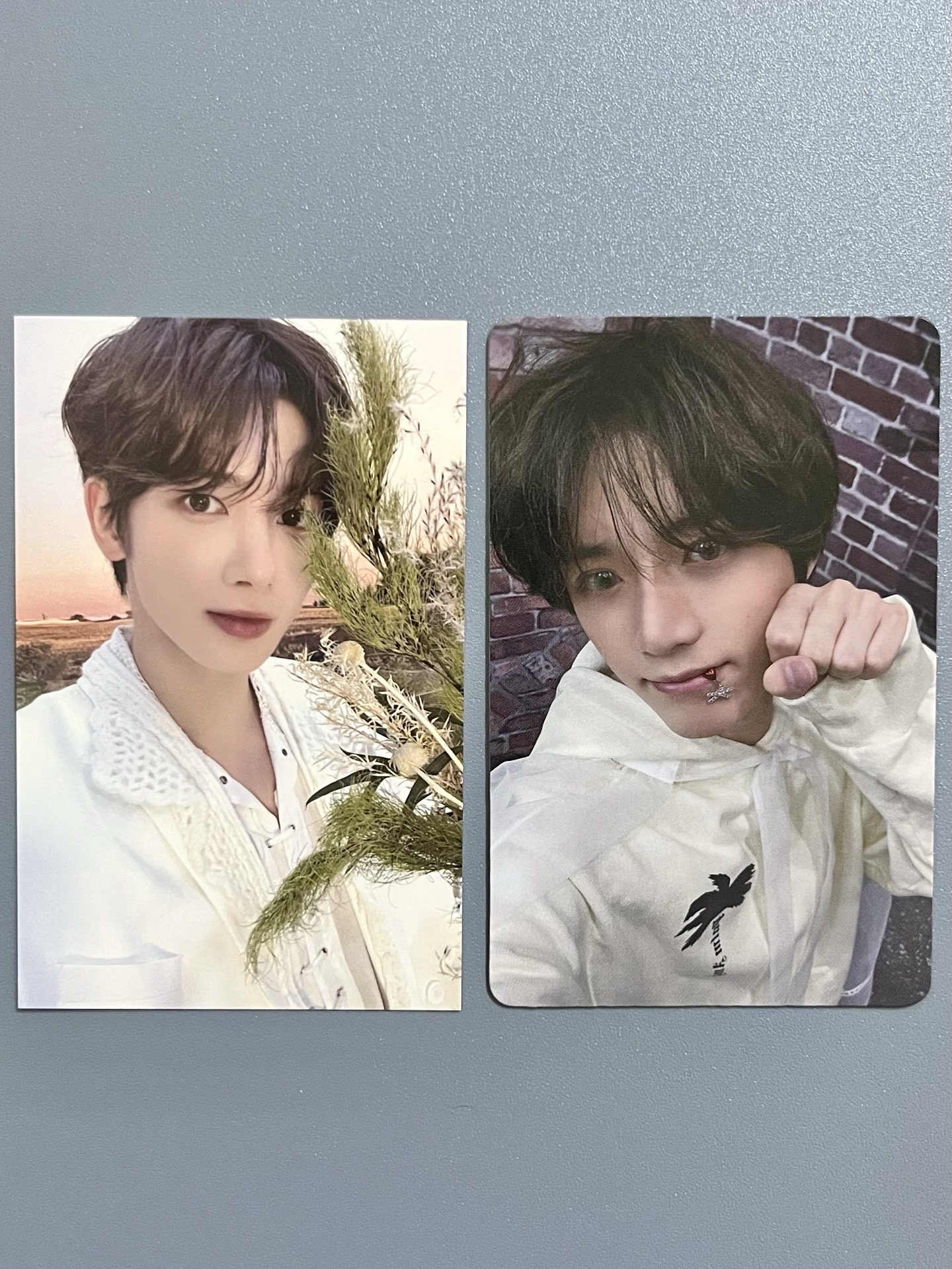 24’巡迴 台灣場莫阿粽 顯 ➕誓い CHIKAI 隨機卡 圭